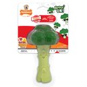 Nylabone Power Chew Broccoli Dog Toy Bacon Cheese, Large