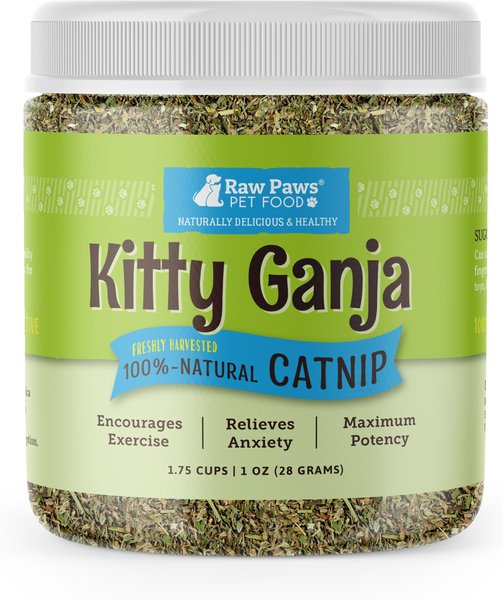 Raw Paws All-Natural Loose Leaf Cut Catnip for Cats, 1-oz jar slide 1 of 7