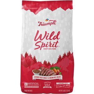 Triumph Wild Spirit Slow Baked Small Batch Pumpkin & Cinnamon Flavor Biscuits Dog Treats