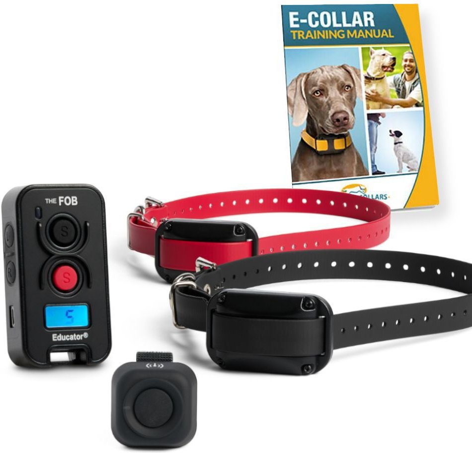 E collar sales with finger remote