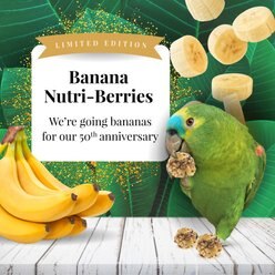 Lafeber Banana Nutri-Berries Parrot Food, 7-oz tin slide 2 of 7