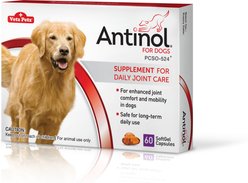Antinol Joint Health Tablet Supplement for Dogs, 60 count slide 1 of 6
