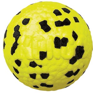 Kong extreme outlet ball dog toy