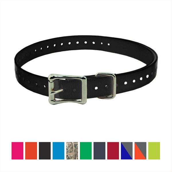 SportDOG Replacement Strap Dog Collar, Black, 3/4-in  slide 1 of 1