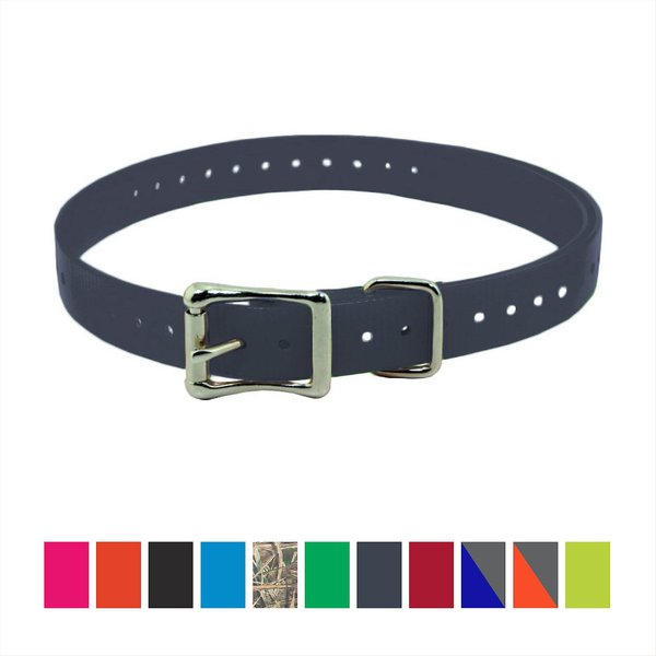 SPORTDOG Replacement Strap Dog Collar, Grey, 3/4-in - Chewy.com