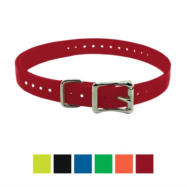 SportDOG Replacement Strap Dog Collar, Red, 1-in  slide 1 of 2