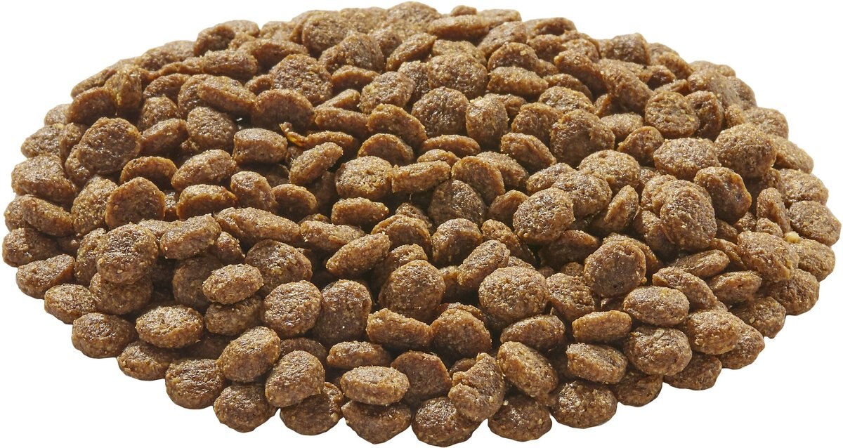 EVOLVE Deboned GrainFree Salmon & Sweet Potato Recipe Dry Dog Food, 12