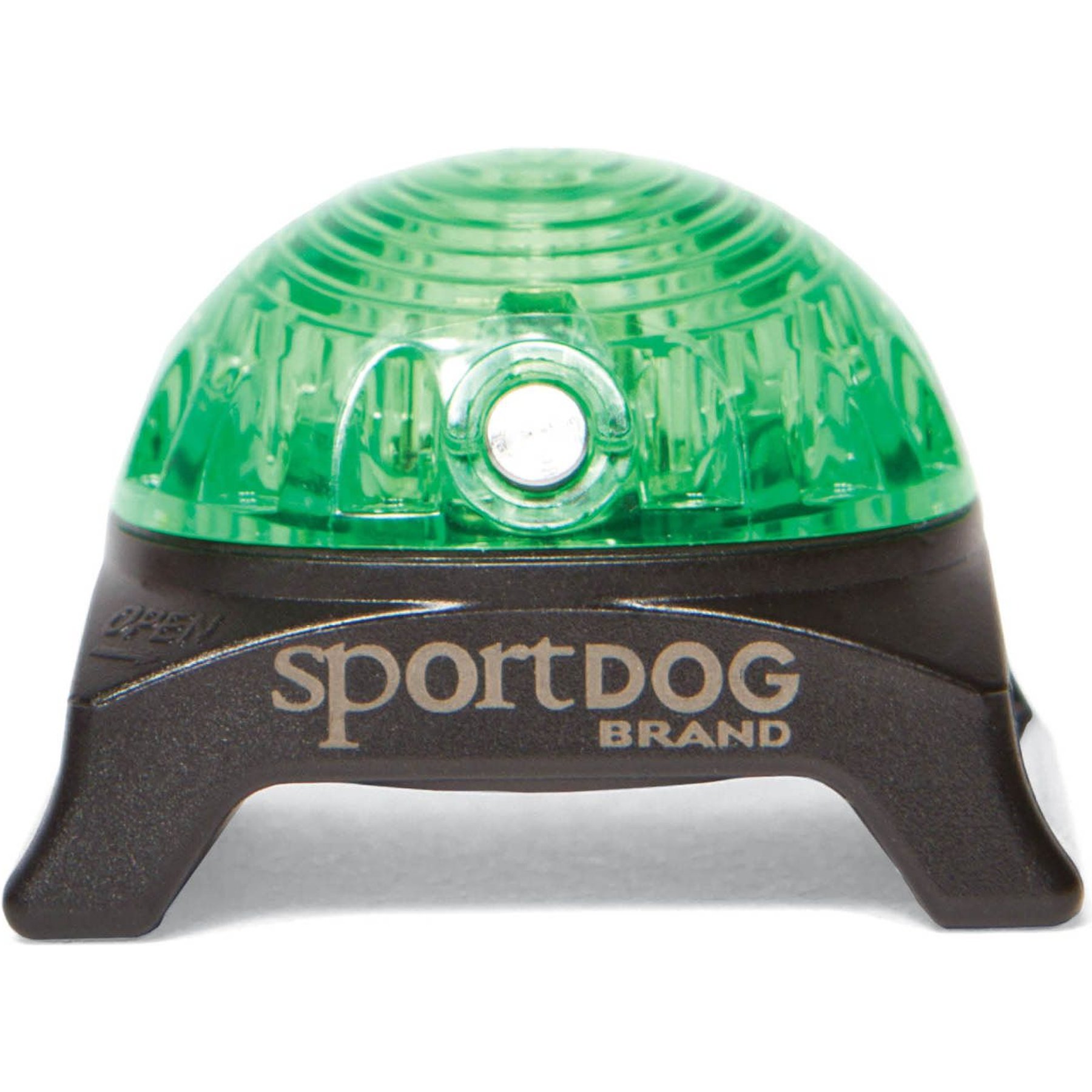 Sport dog collar sales light