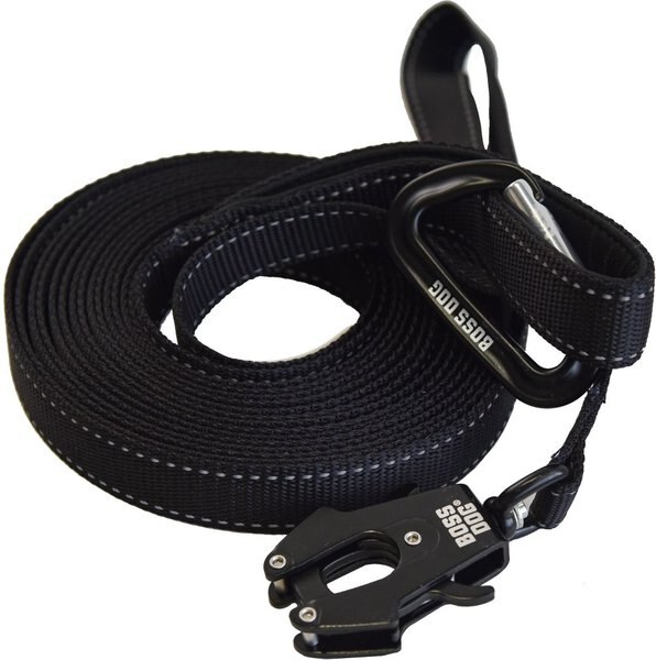 Boss Dog Nylon Dog Leash with Handle