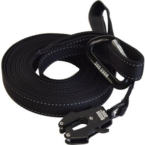 Boss Dog Nylon Dog Leash with Handle, 20-ft, Black, 1-in wide