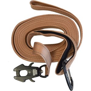 Boss Dog Nylon Dog Leash with Handle, 20-ft, Tan, 1-in wide