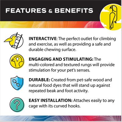 Show full view: Caitec Parrot Ladder, 12-in slide 5 of 10