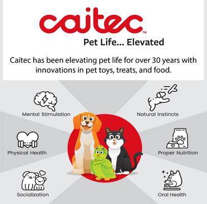 Show full view: Caitec Parrot Ladder, 12-in slide 6 of 10