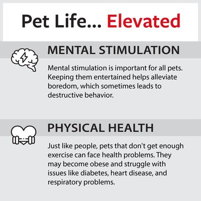 Show full view: Caitec Parrot Ladder, 12-in slide 7 of 10