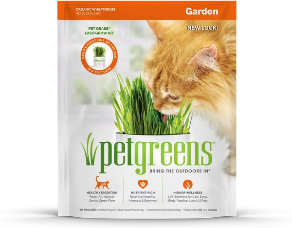 Pet Greens Self Grow Garden Pet Grass, 3-oz bag slide 1 of 9