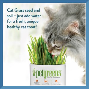 Pet Greens Self Grow Garden Pet Grass, 3-oz bag