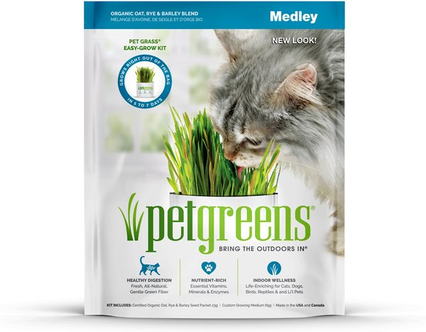 Pet Greens Self Grow Medley Pet Grass, 3-oz bag slide 1 of 9
