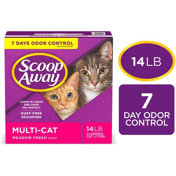 ARM & HAMMER LITTER Clump & Seal MultiCat Scented Clumping Clay Cat