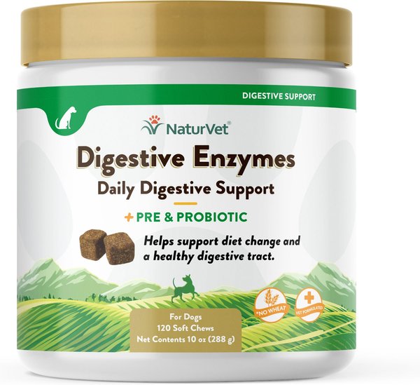 NaturVet Digestive Enzymes Plus Probiotic Soft Chews Digestive Supplement for Dogs, 120 count slide 1 of 8