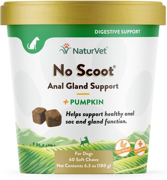 NaturVet No Scoot Plus Pumpkin Soft Chews Digestive Supplement for Dogs, 60 count slide 1 of 5