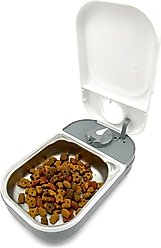 Closer Pets One-Meal Automatic Timed Dog & Cat Feeder