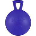 Jolly Pets Tug-n-Toss M-ini Dog Toy, Blue, 3-in