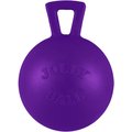 Jolly Pets Tug-n-Toss M-ini Dog Toy, Purple, 4-in