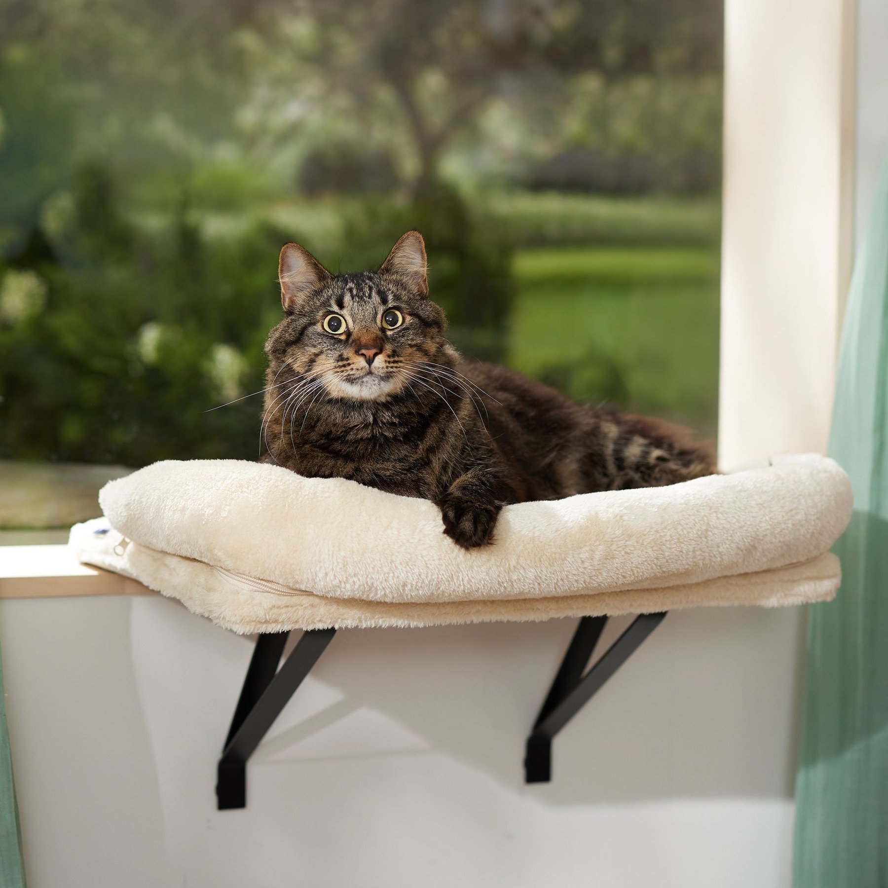 FRISCO Plush Cat Window Perch with Removable Bolster - Chewy