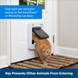 PetSafe RFID Smart Key for Dog Door, Gray, Small slide 2 of 6