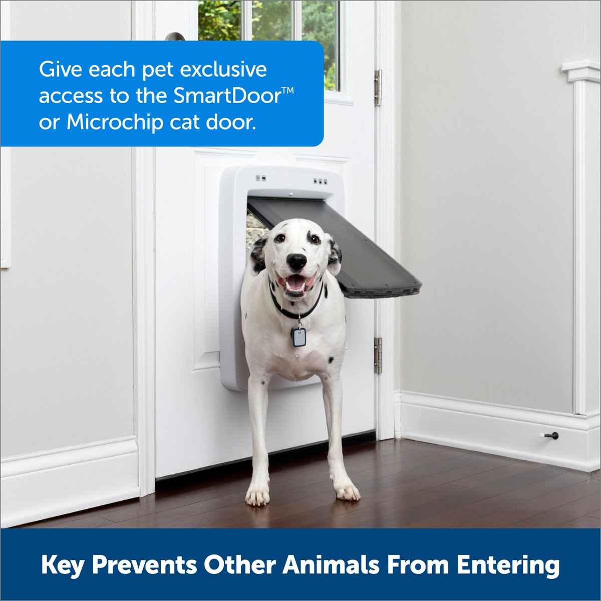 Dog door outlet rfid