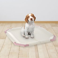 Richell PAW TRAX Mesh Dog Potty Holder, Pink