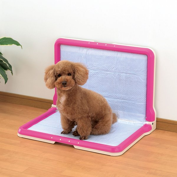 Richell PAW TRAX High Wall Dog Potty Pad Tray