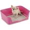 Show in main carousel: Richell PAW TRAX Splash Free Dog Potty Pad Tray slide 1 of 5