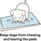 Show in main carousel: Richell PAW TRAX Splash Free Dog Potty Pad Tray slide 5 of 5