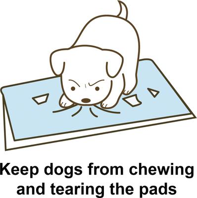Show full view: Richell PAW TRAX Splash Free Dog Potty Pad Tray slide 5 of 5
