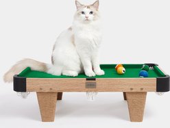 VETRESKA Meownooker Cat Toy Set