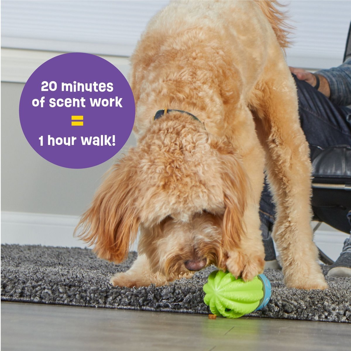 Hyper Pet Crazy Crew Hanniball Treat Dispensing Dog Toy