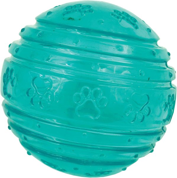 LI'L PALS Antimicrobial Squeaky Dog Toy Ball, Teal