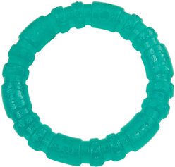 Li'l Pals Antimicrobial Ring Squeaky Dog Toy, Teal