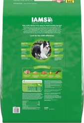 Iams Proactive Health MiniChunks Small Kibble Adult Chicken & Whole Grain Dry Dog Food, 44-lb bag slide 2 of 9