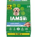 Iams Proactive Health Large Breed with Real Chicken Adult Dry Dog Food, 44-lb bag