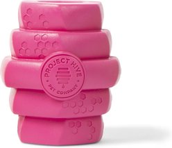 Project Hive Pet Company Hive Wild Berry Aroma Scented Chew Dog Toy, Large, Pink
