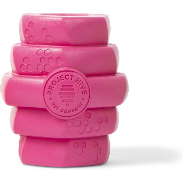 PROJECT HIVE PET COMPANY Hive Wild Berry Aroma Scented Chew Dog Toy