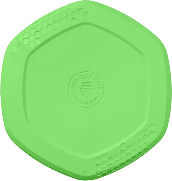 Project Hive Pet Company Hive Tropical Coconut Scented Disc & Lick Mat Dog Toy, Green slide 1 of 6