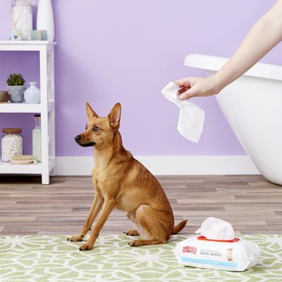 Show full view: Nature's Miracle Spring Waters Deodorizing Dog Bath Wipes, 100 count slide 5 of 10