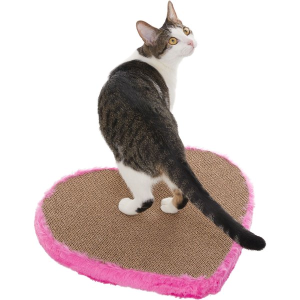 Catit Senses 2.0 Wellness Center Cat Toy - Interactive Multi-Purpose  Relaxation Spot with Catnip Included