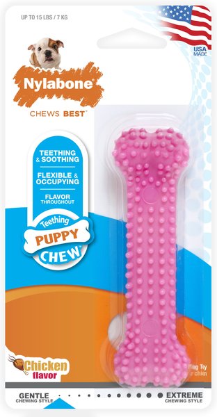 Pet Supplies : Playology Silver Dental Chew Stick Dog Toy for