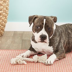 Mammoth 100% Cotton Dog Rope Toy, Medium slide 2 of 4