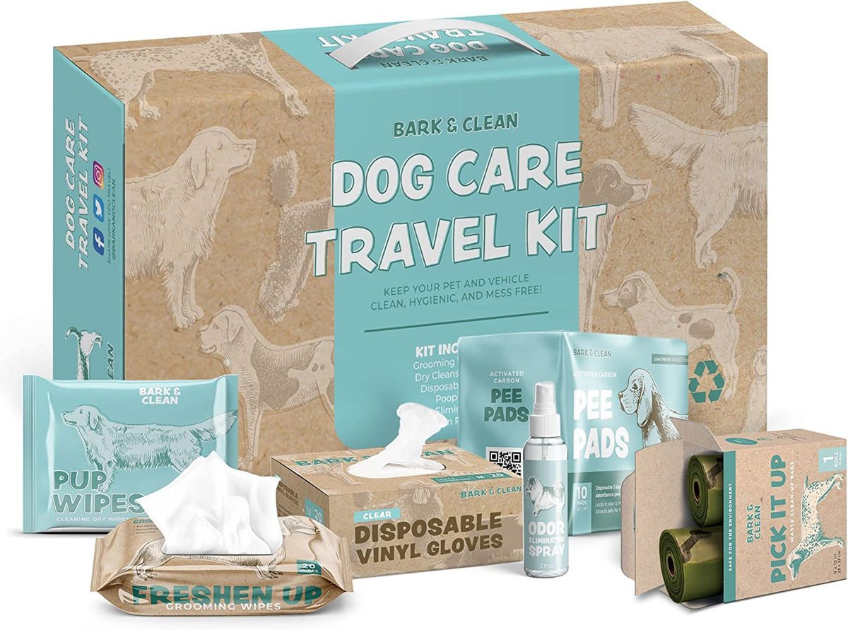 Dog travel clearance essentials