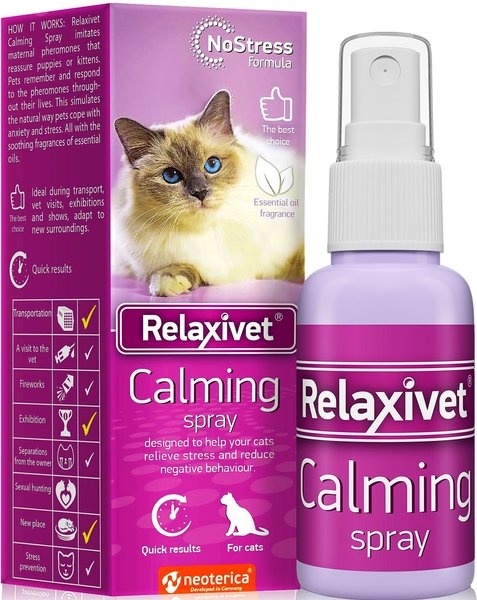 Best pheromones for cats best sale